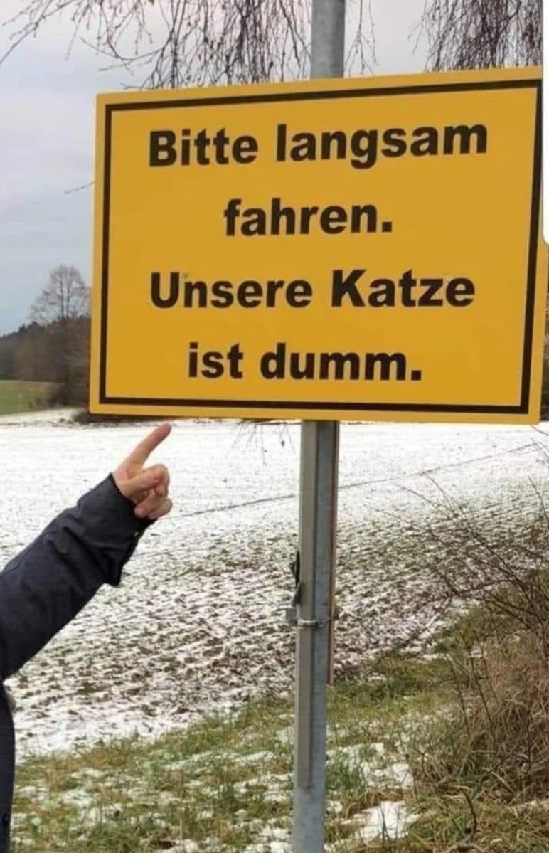 TuNichtGut 🕊🍉 tweet media