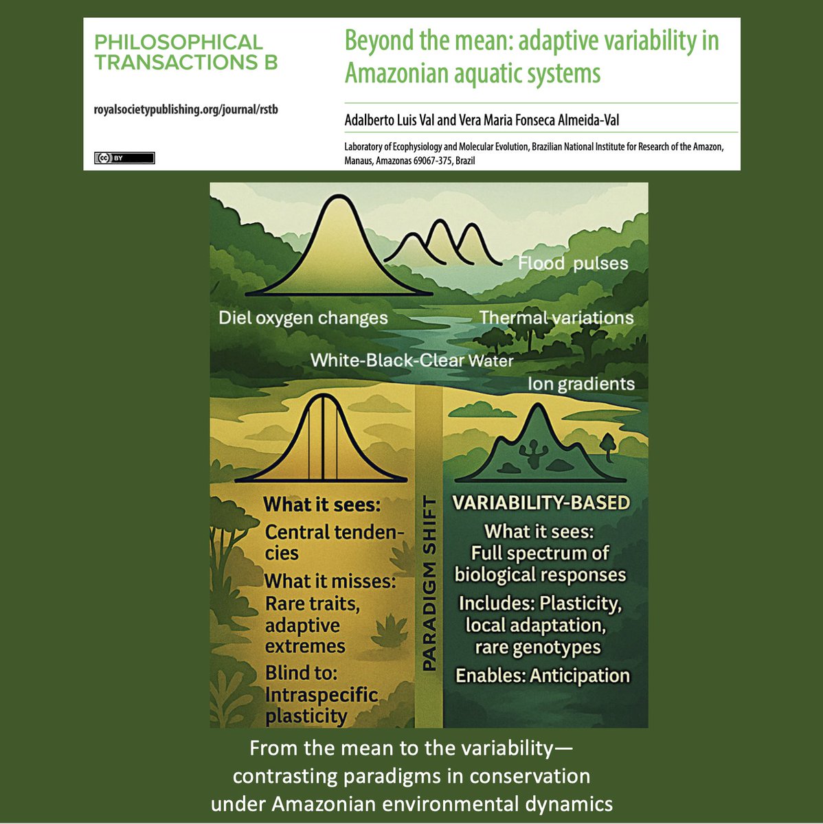 Adalberto Luis Val tweet media