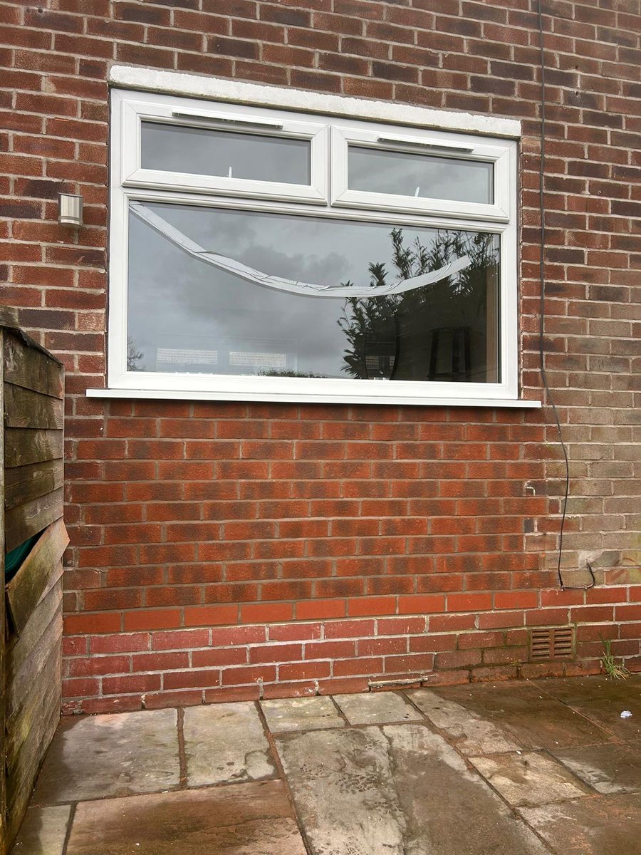 The Window Co tweet media