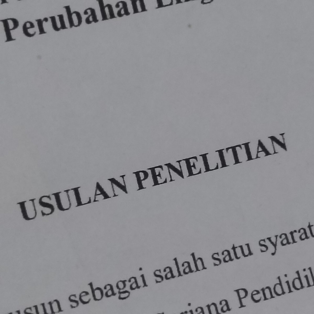 🍉 Damie-꒰ᵕ༚ᵕ⑅꒱ ONYUL🧚💗🌷 tweet media