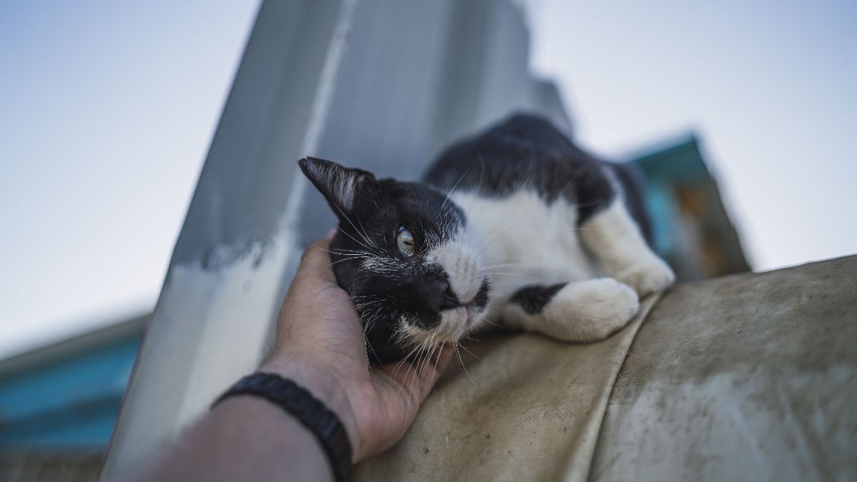 NoticiasTrabajo tweet media