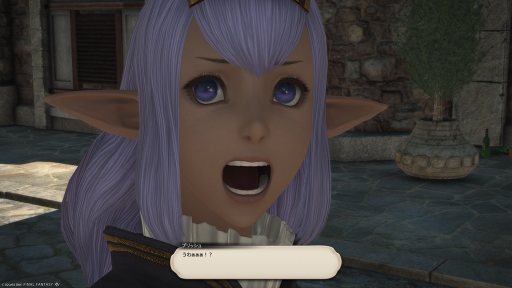 マトシャ🐘 tweet media