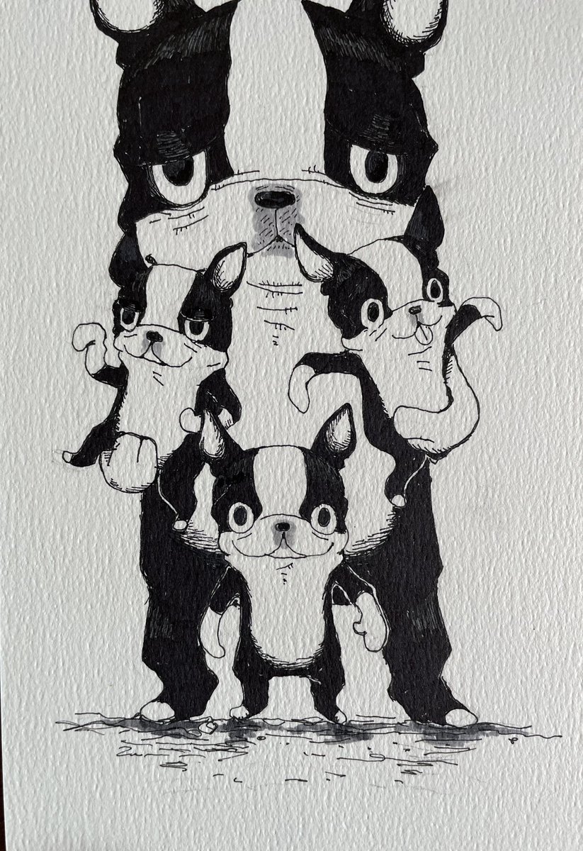 ぼすとんず tweet media