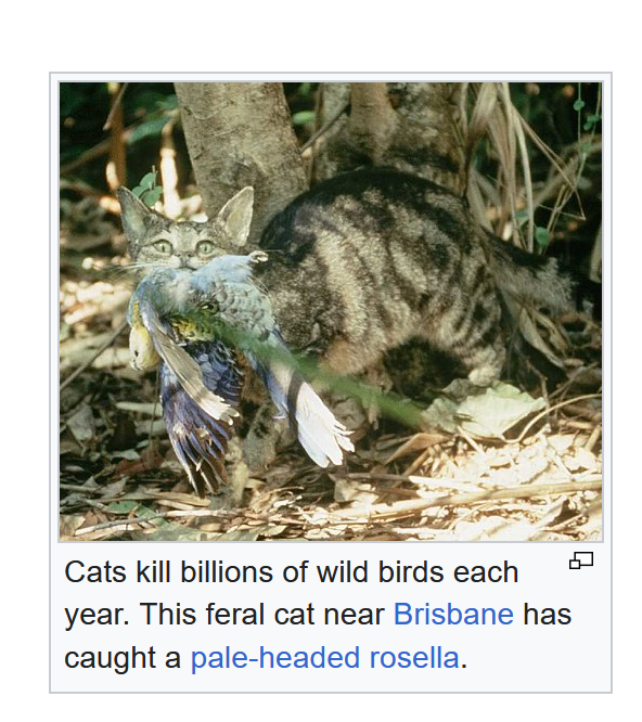 lully lover🇪🇺 🇪🇺 🇪🇺 tweet media