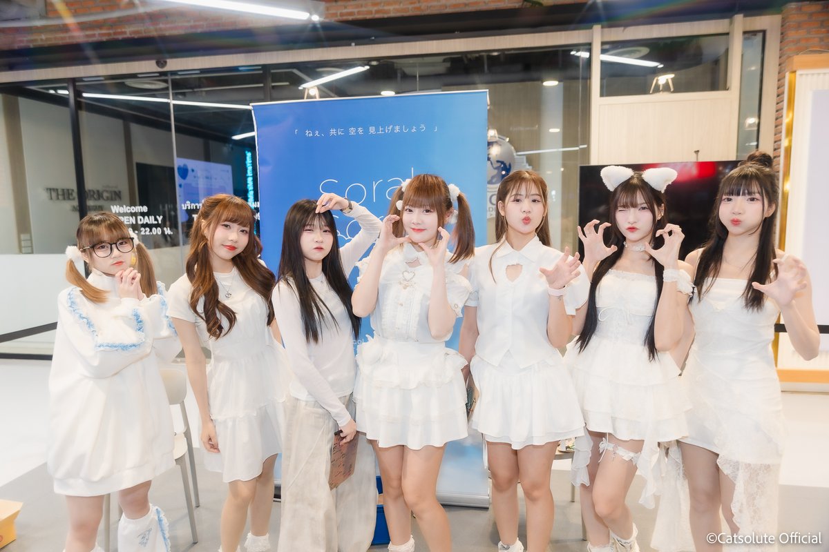 Catsolute tweet media