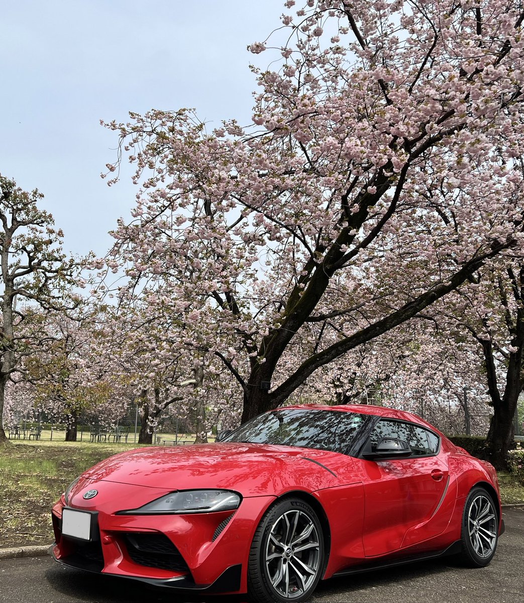 みゅうー tweet media