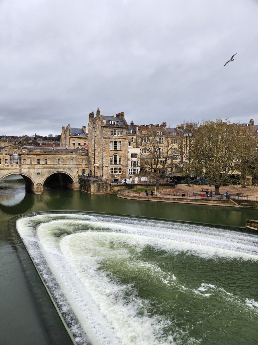 Jules 💚🖤 tweet media