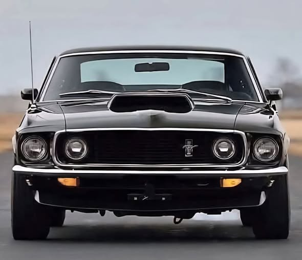 Kolter-Kolter.. 🇵🇱🇩🇪🇺🇦🇪🇺 tweet media