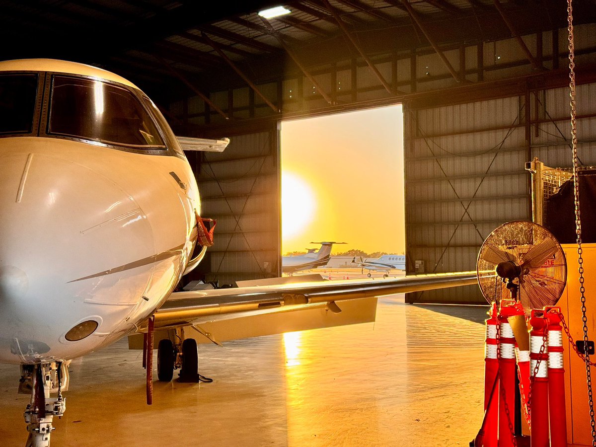 Colleen Loustalot ✈️ tweet media