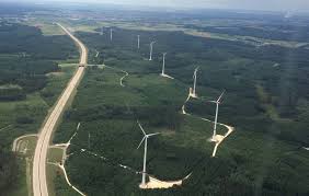 Meister Caligula tweet media