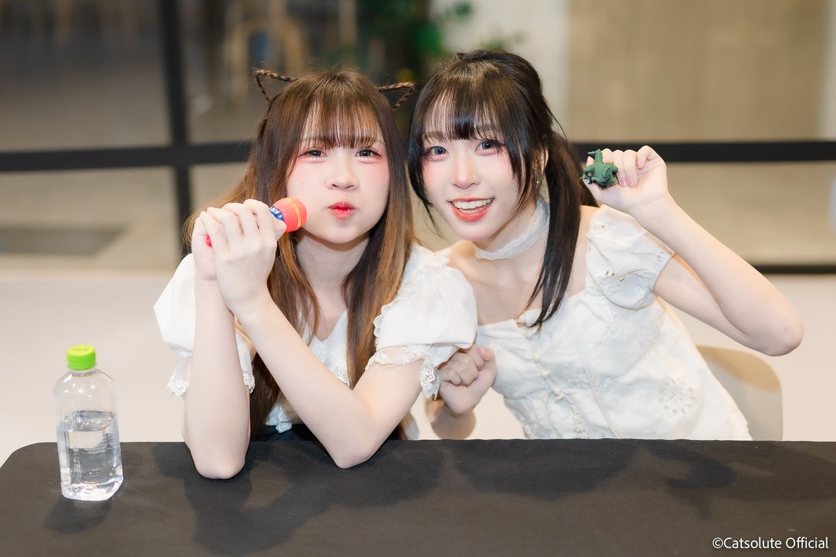 Catsolute tweet media