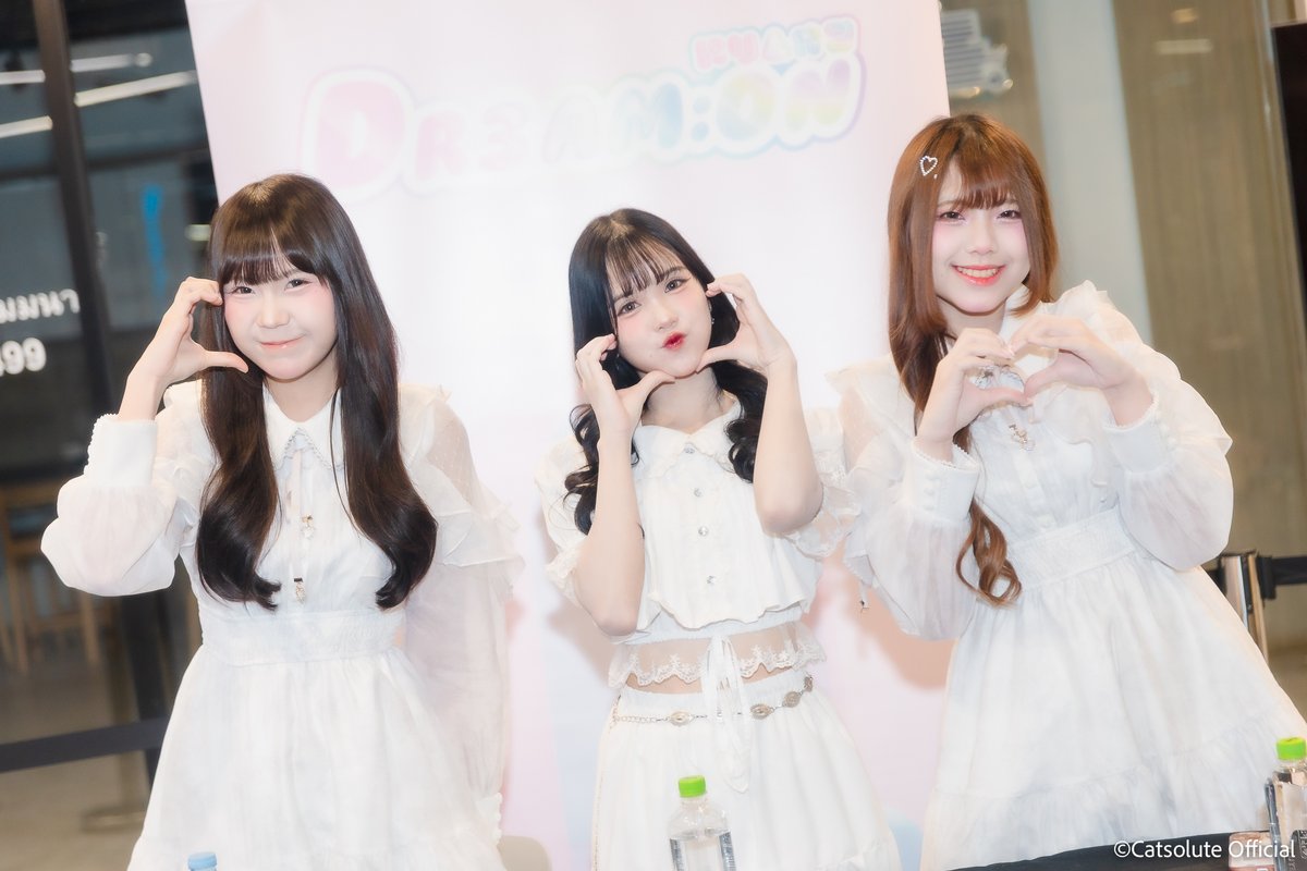 Catsolute tweet media