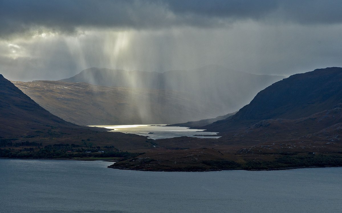 YorkshireLass tweet media