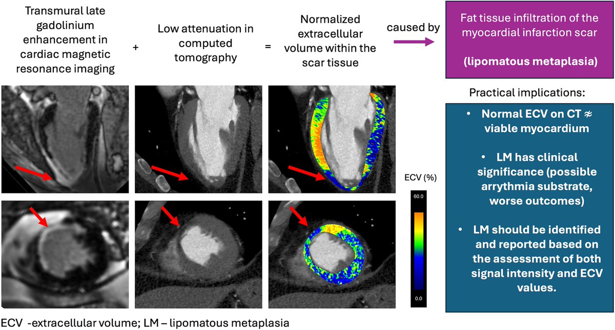 European Society of Cardiology Journals tweet media