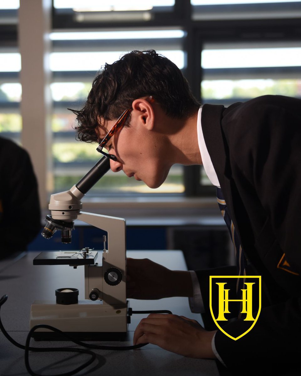 HamsteadHallAcademy tweet media