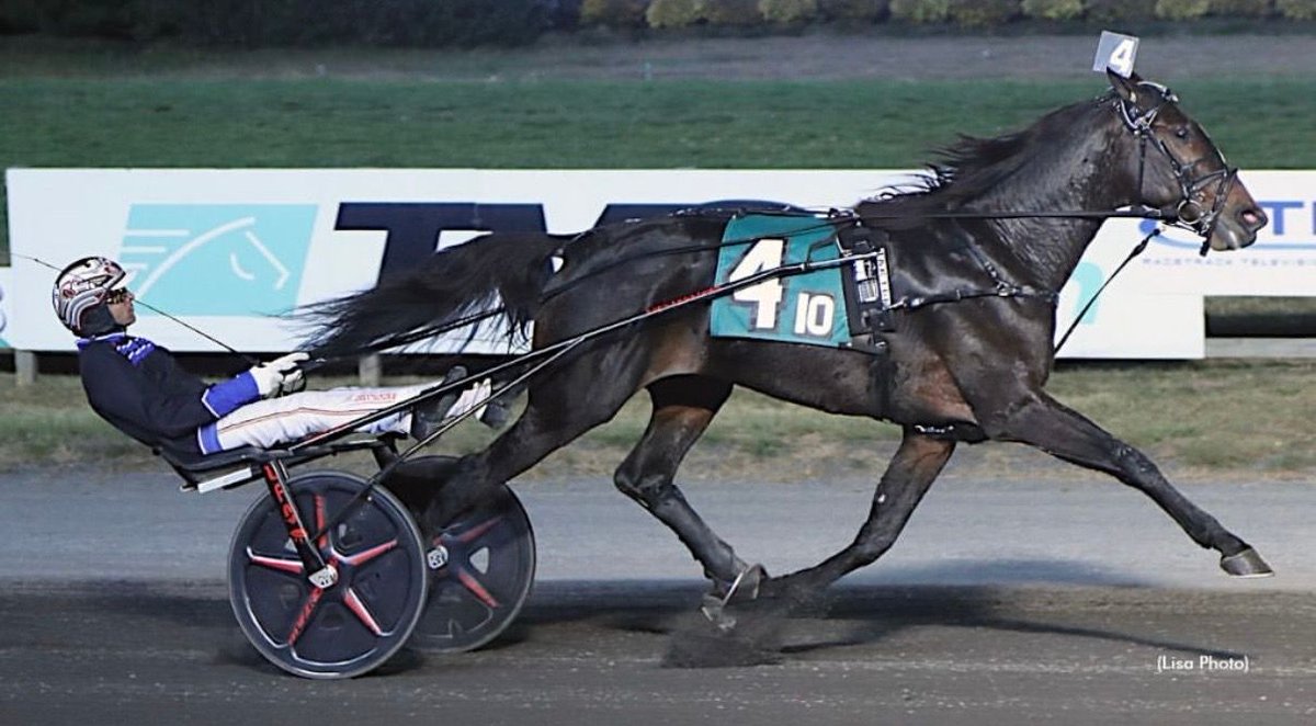 Blue Chip Farms tweet media