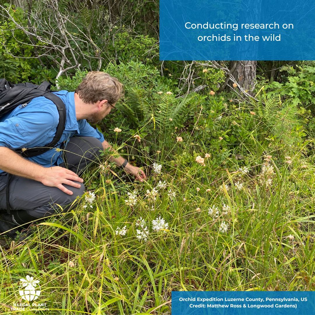 Botanic Gardens Conservation International tweet media