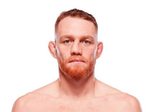 Blind Bear 🐻🕶️ tweet media