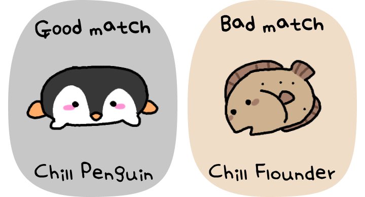 Nate 🐈‍⬛ tweet media