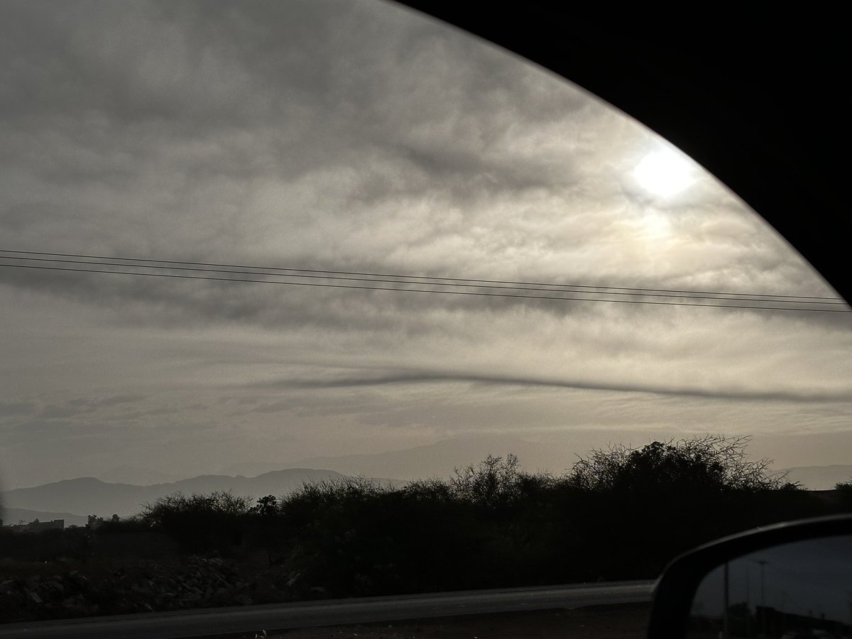 حسن🧬🇸🇦 tweet media