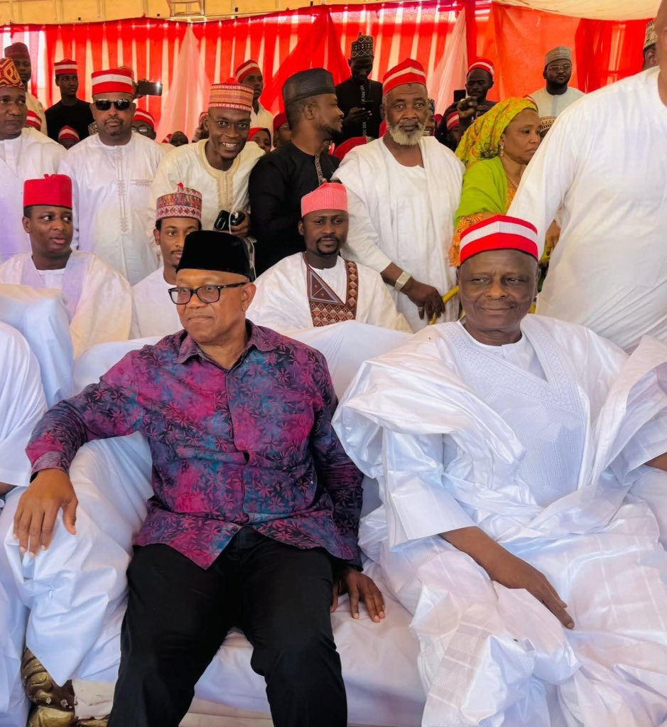 M.S Rodamini tweet media