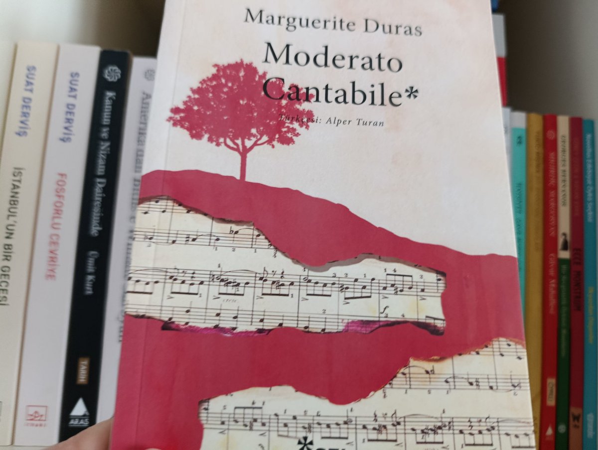 Nevin Ulusoy tweet media