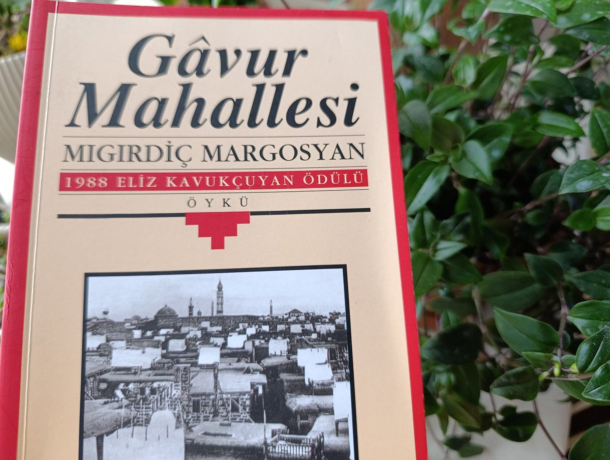 Nevin Ulusoy tweet media