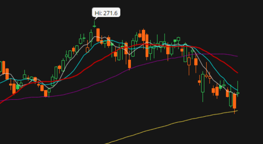 Alternate Trader tweet media