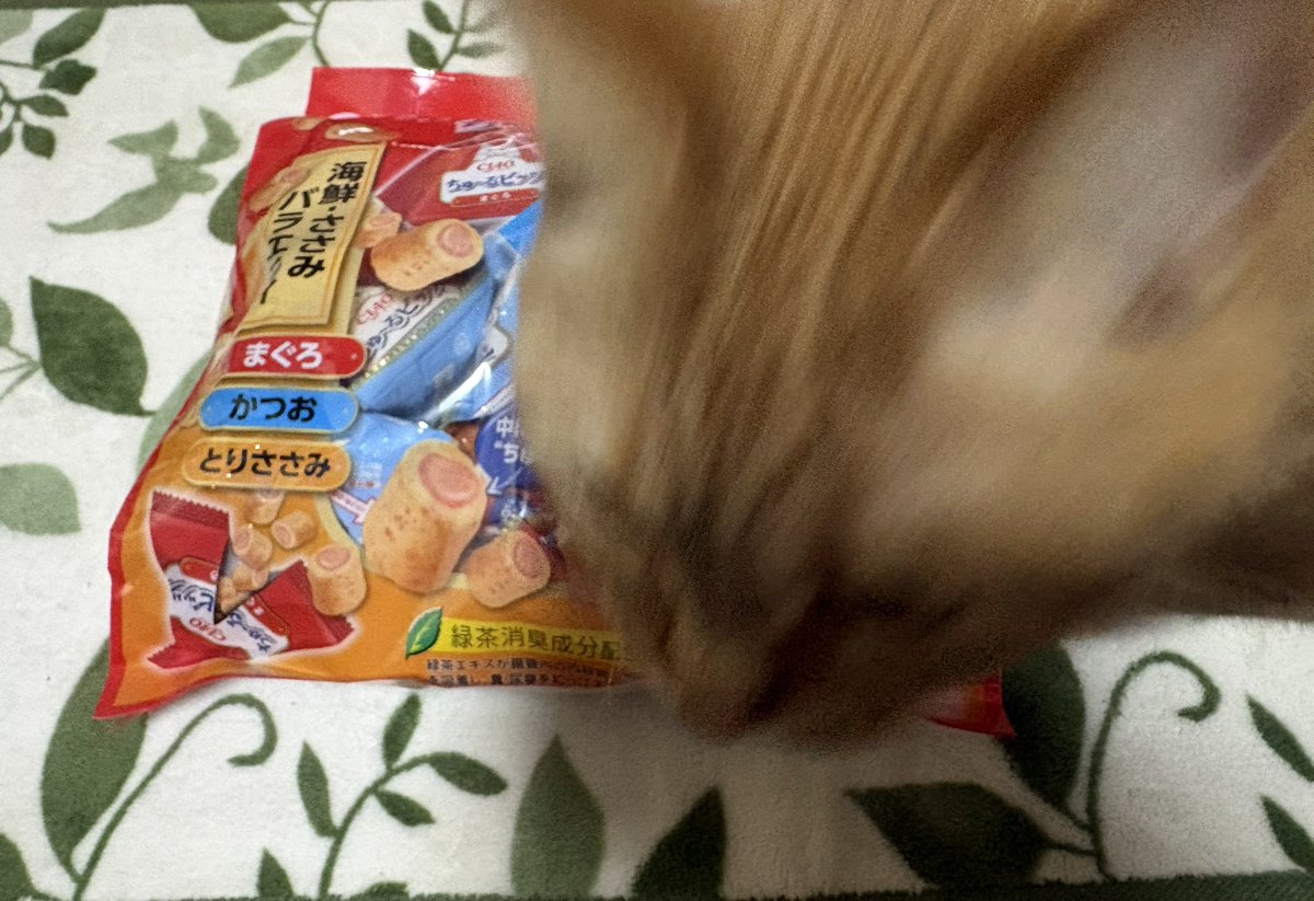 mili_5714's tweet photo. こちらのおやつが本日届きました！！😭😭✨✨✨✨送ってくださった方ありがとうございます…！！！暖かいメッセージもありがとうございます！！💌♡猫ちゃんめちゃくちゃ喜んでます🐱︎💕︎︎💕︎︎💕︎︎💕︎︎💕︎ https://t.co/P9bXHAaLlu