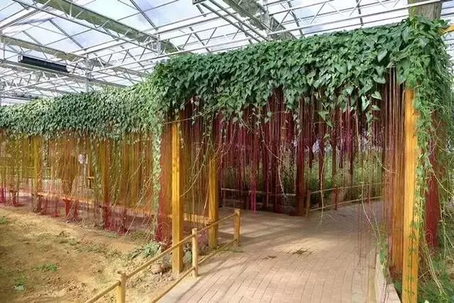 Shadowhawk055 tweet media