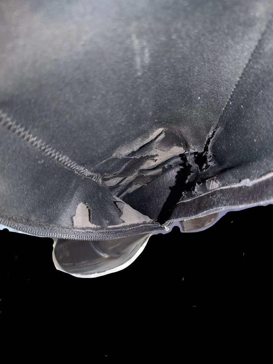 はちみつクン tweet media