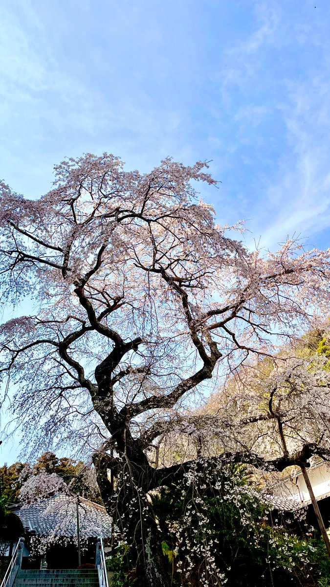 romi wind (ロミ ウィンド) tweet media