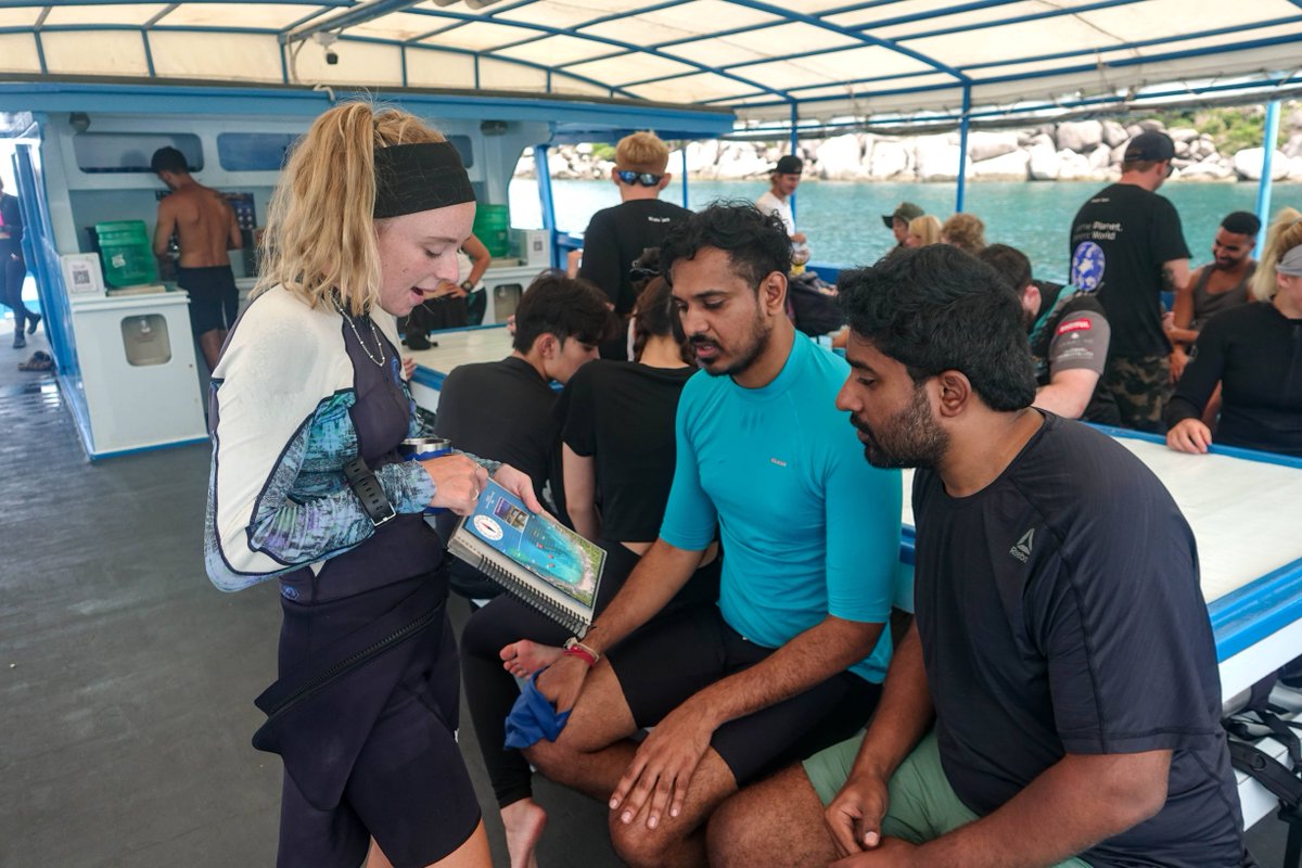 blackturtledive's tweet image. Our entry level Discover Scuba Diving (DSD) 1 day experience is an excellent way for you to explore the diverse marine environment surrounding Koh Tao, with a PADI Diving Instructor. blackturtledive.com/.../padi-disco… #Scuba #Diving #PADI #DSD #Discover