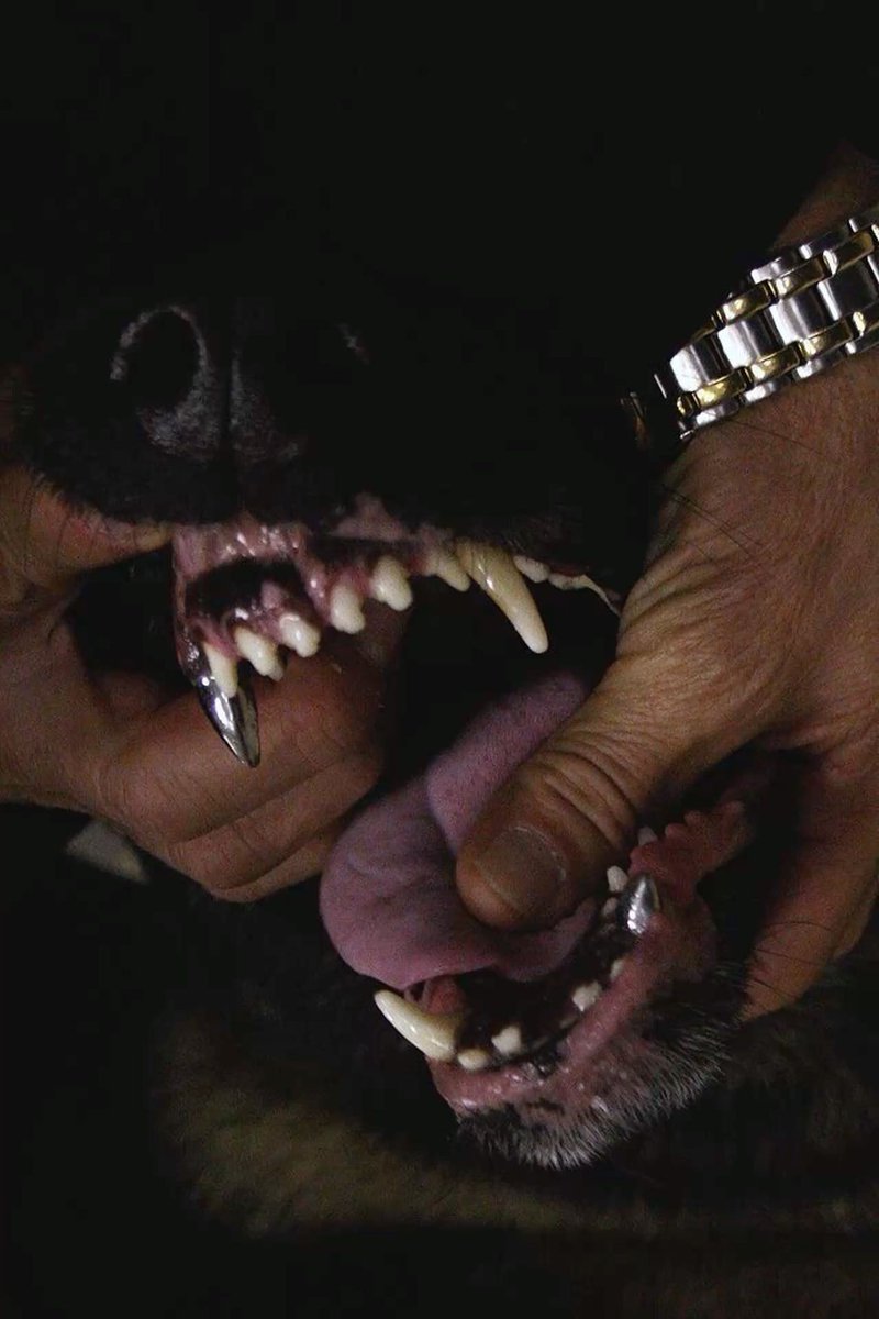 𝖆𝖗𝖙𝖟~𝖓𝖔𝖜 (@artznow_) on Twitter photo 