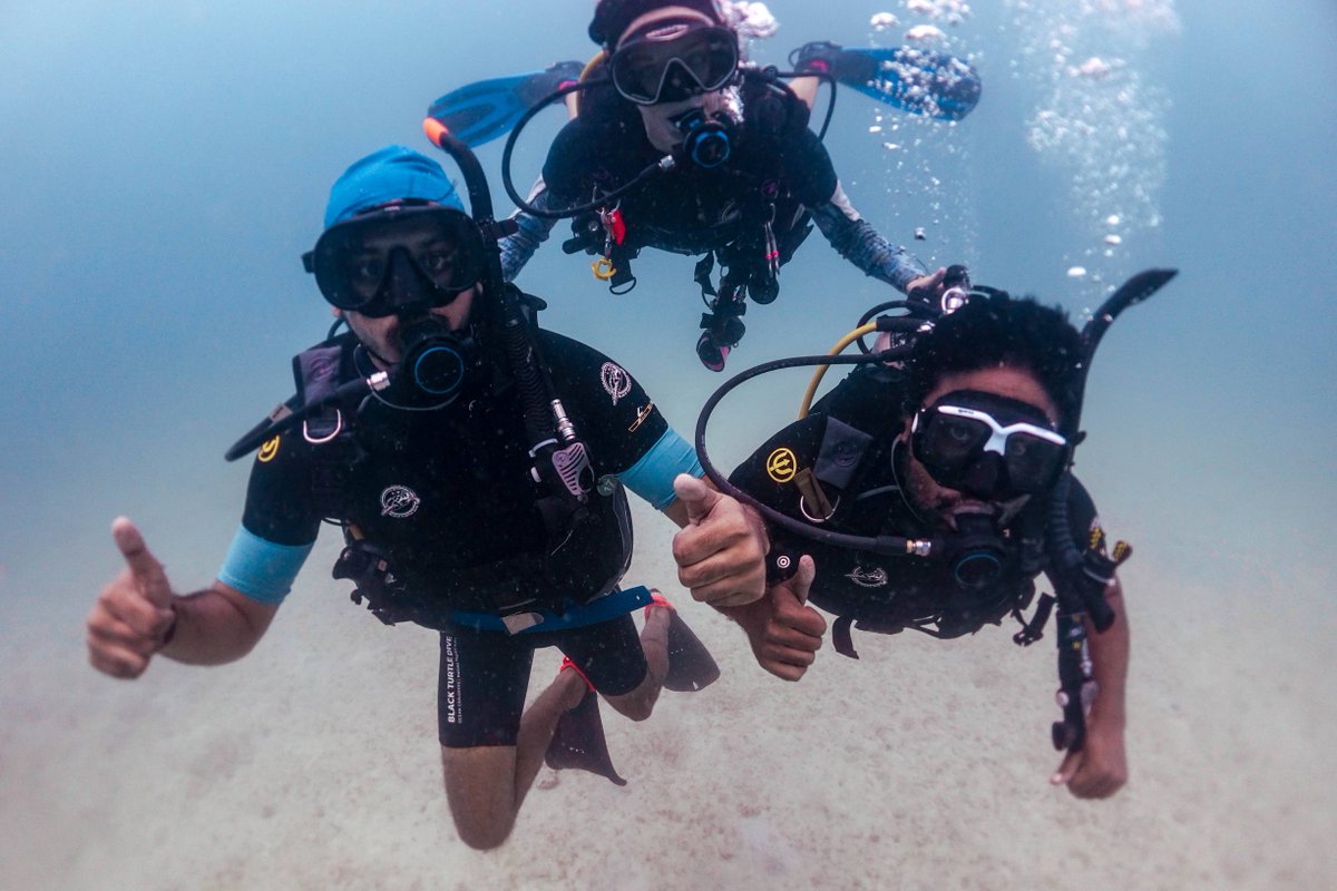 blackturtledive's tweet image. Our entry level Discover Scuba Diving (DSD) 1 day experience is an excellent way for you to explore the diverse marine environment surrounding Koh Tao, with a PADI Diving Instructor. blackturtledive.com/.../padi-disco… #Scuba #Diving #PADI #DSD #Discover