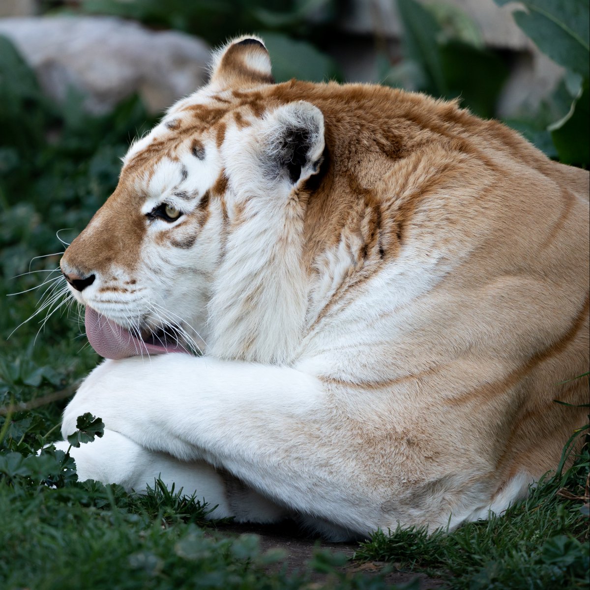 Discovery tweet media