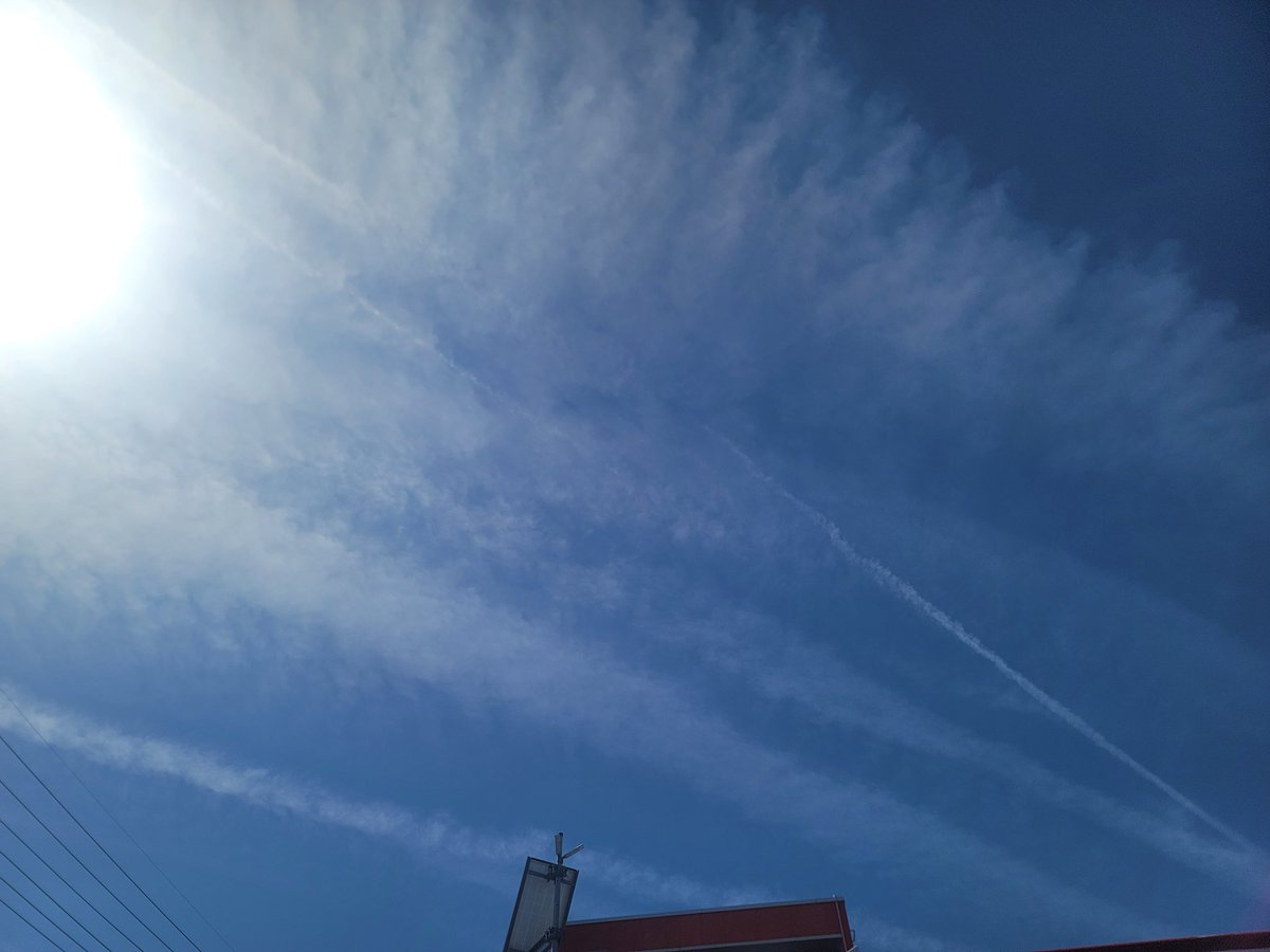 Save our planet tweet media