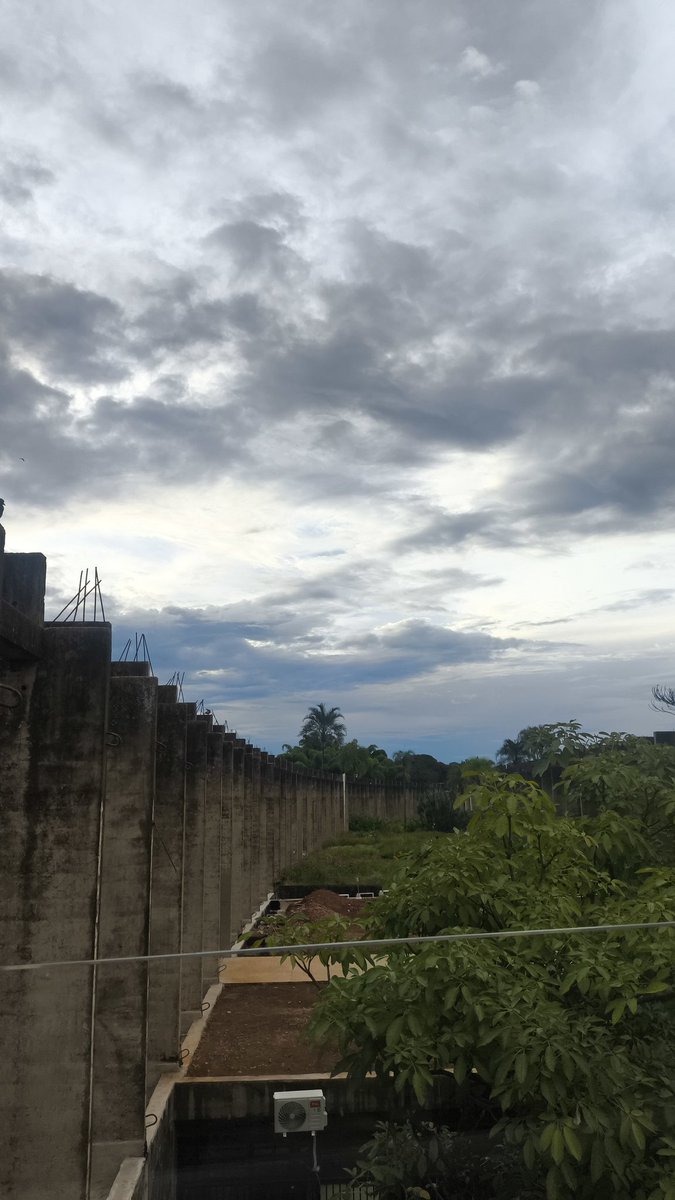 saky • star ᵛᵃⁱ ᵛᵉʳ ᵒ ᵇᵗˢ🎧 tweet media