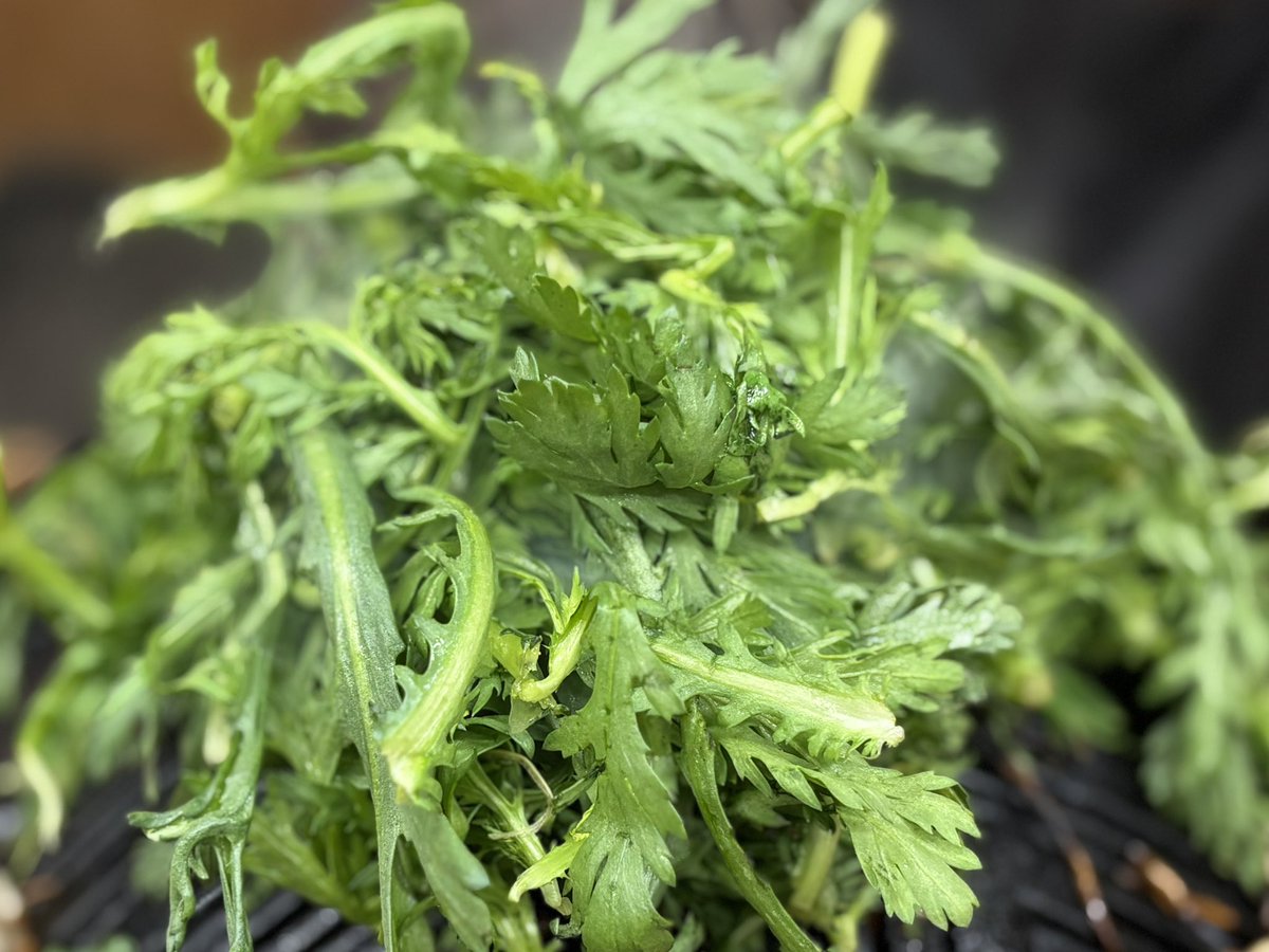 むなぞう tweet media