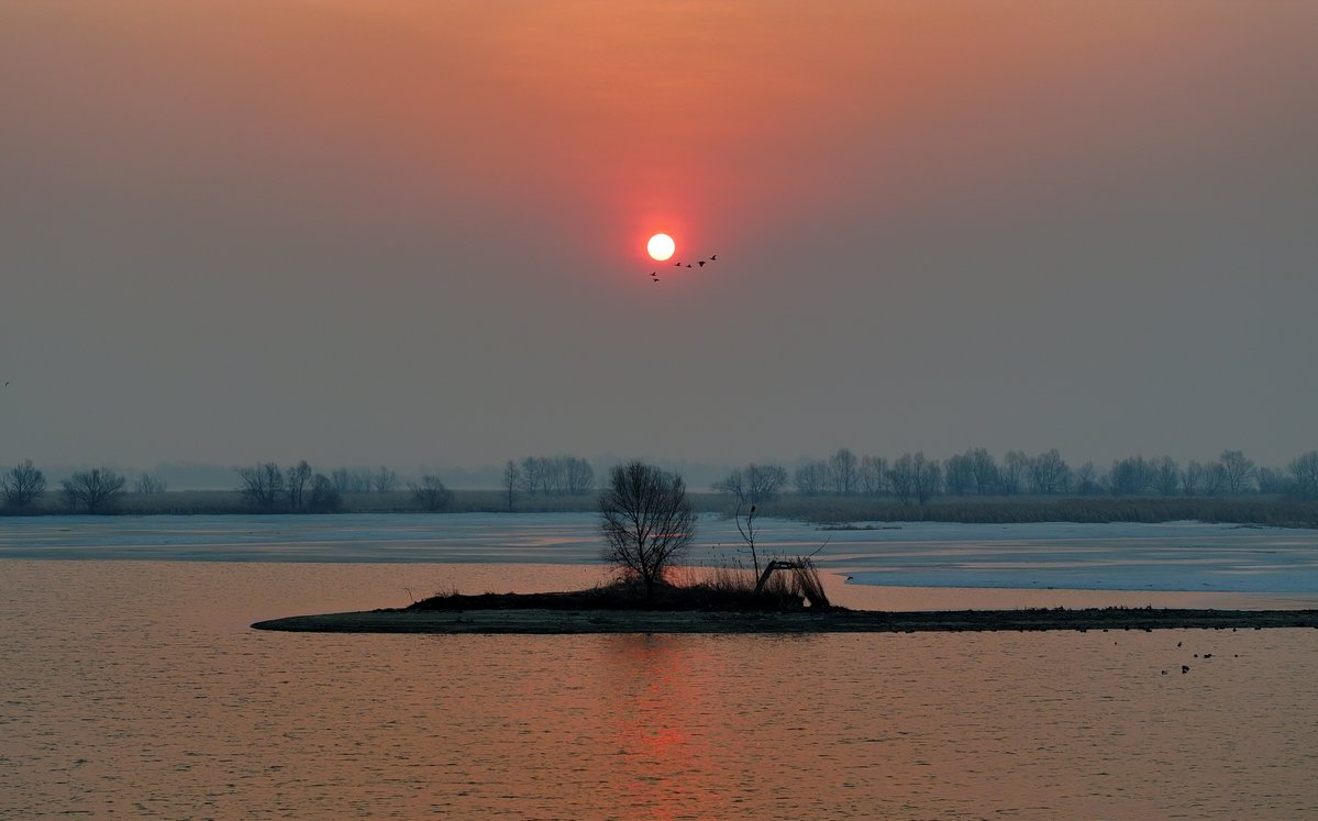 FlyOverChina's tweet image. Spring is quietly settling in. 🕊 Along the Songhua River in Harbin, the ice is beginning to break, and the migratory birds are back.
#flyoverchina #chinatravel #springinchina
📷 Zhang Shu