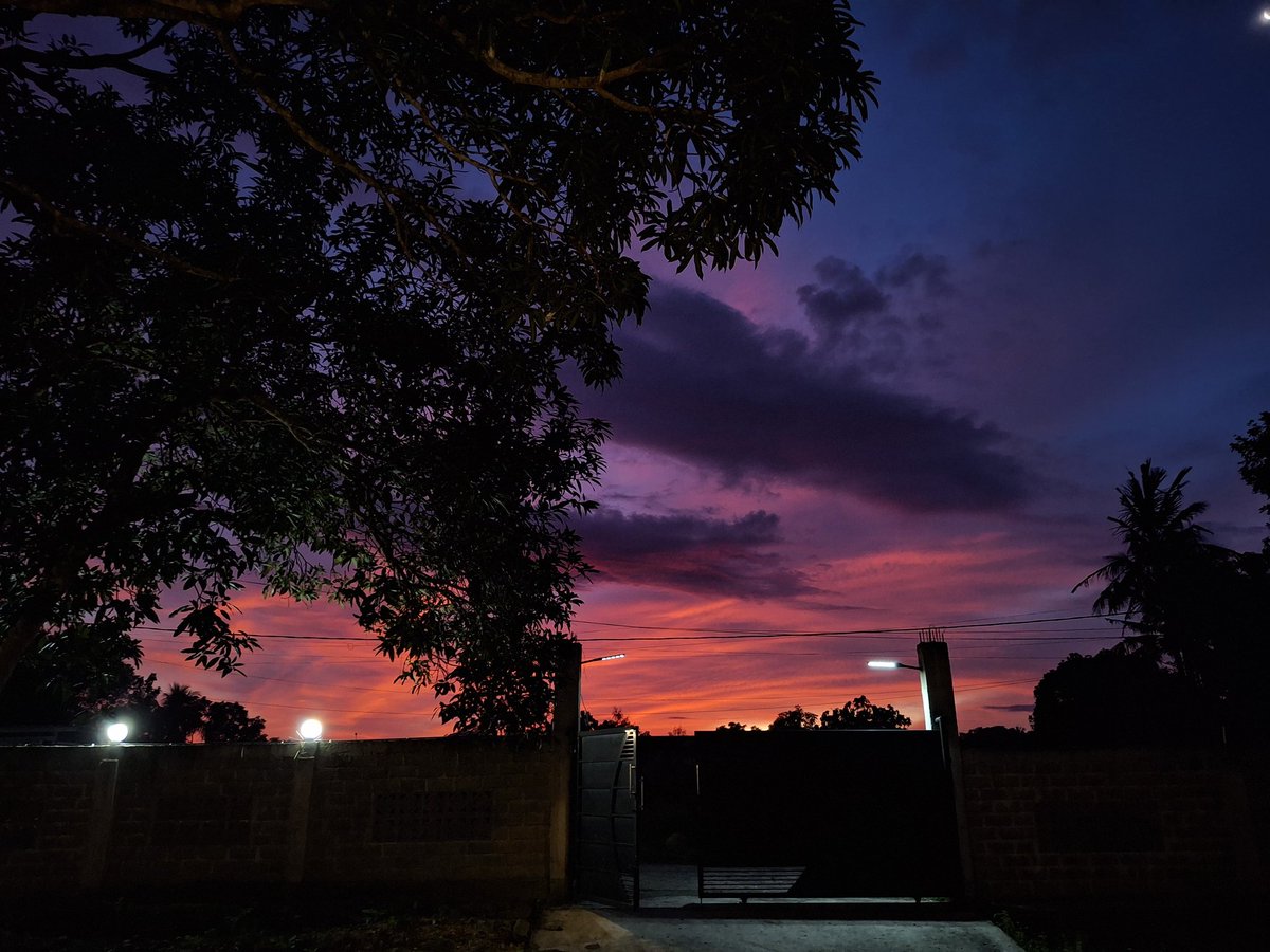 Rendy diburon elon. tweet media