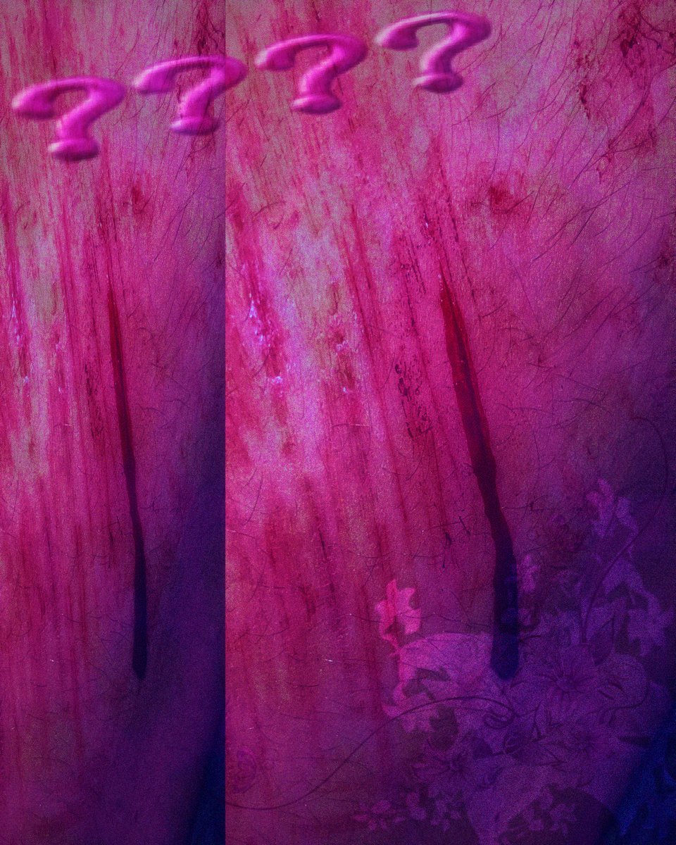 cedar of shtwt tweet media