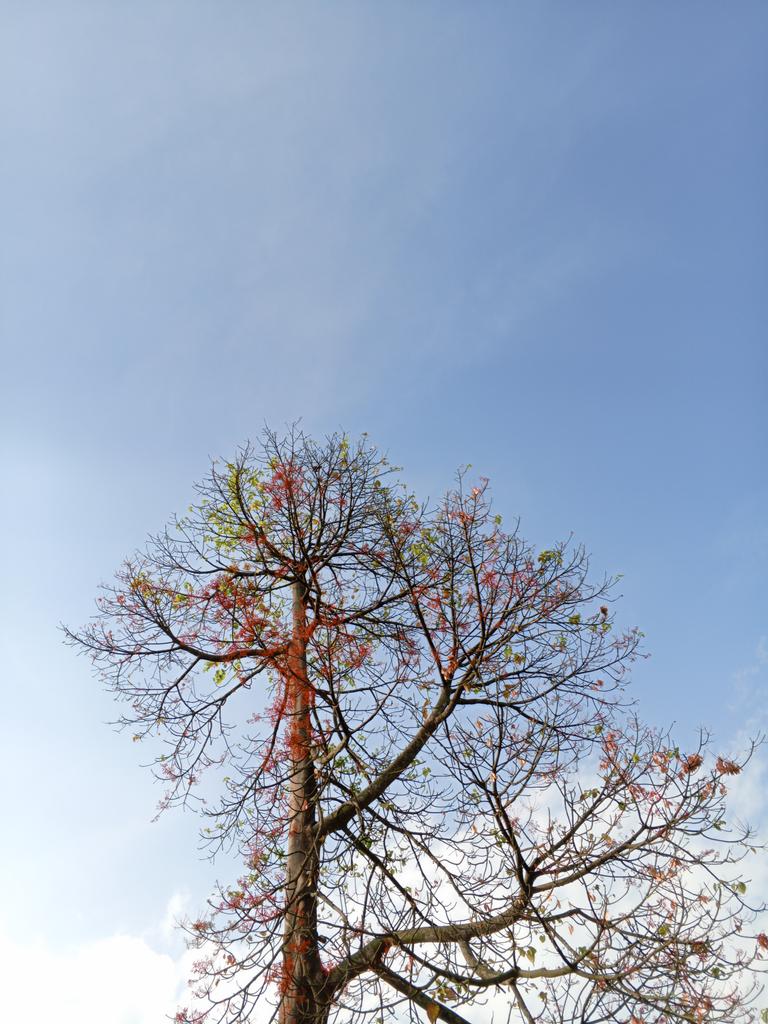 Lillie's Fashion World tweet media