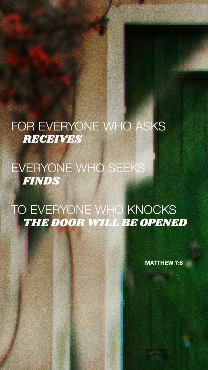 shawmor 🐺 🟦 tweet media