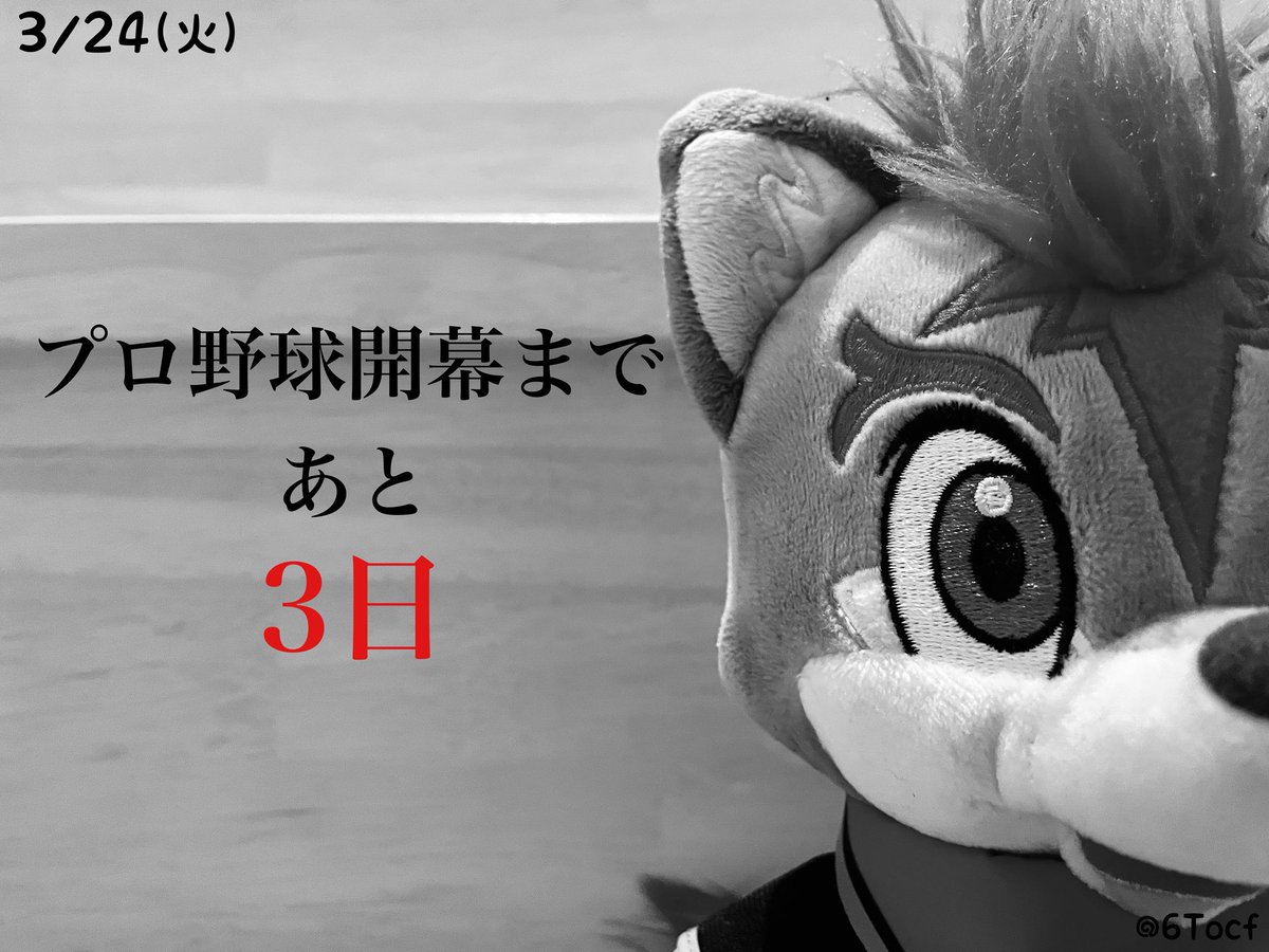 ただの野球好き tweet media