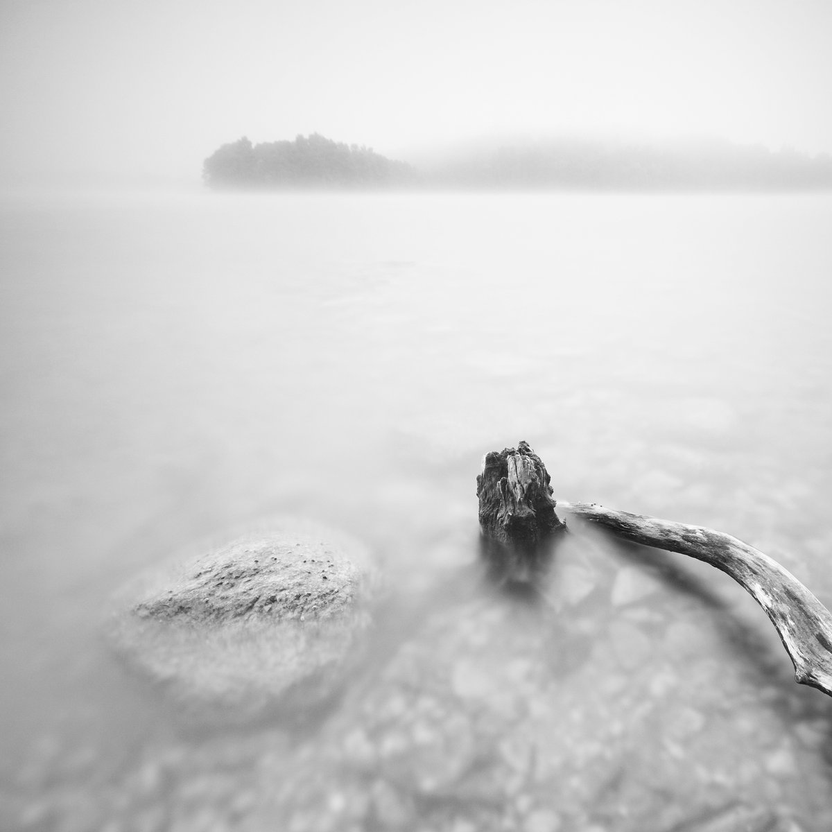 Alexxiel tweet media