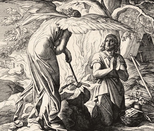 Matt Davis tweet media