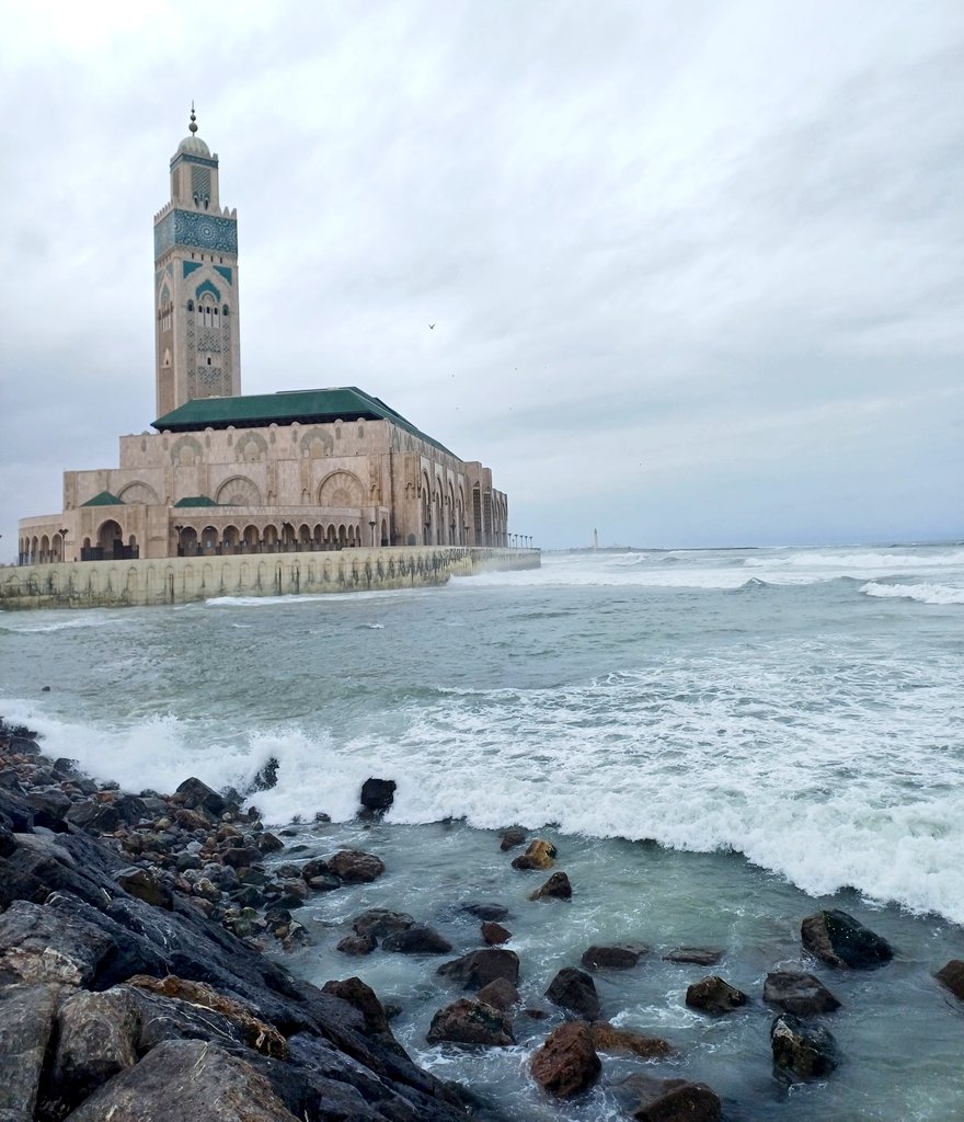 FARACHAAA 🦋 tweet media