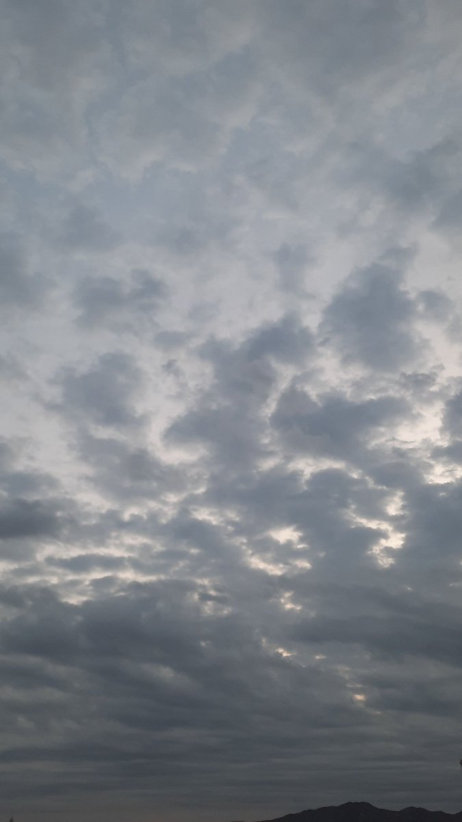 جِيمْ. tweet media