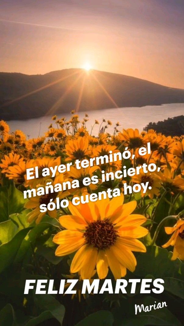 Mónica Rivera tweet media